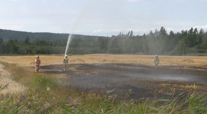 Feu de broussaille Cacouna