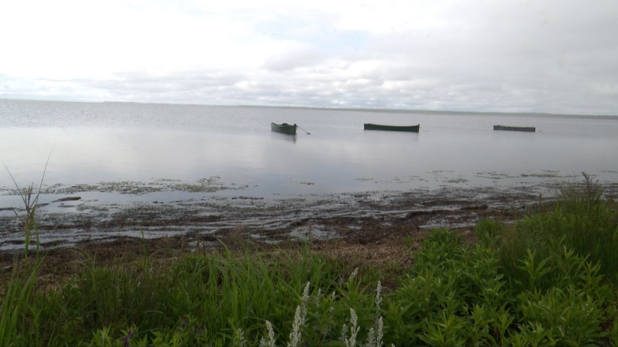 La Baie de Tracadie