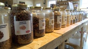 Épicerie ECO2