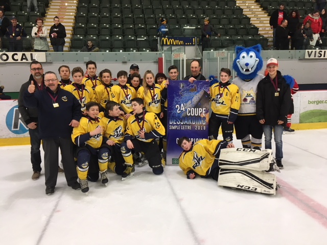 Ligue De Hockey Simple Lettre Du Bas St Laurent