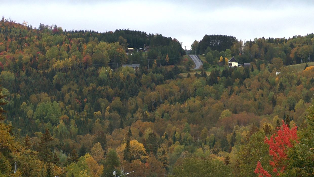 Le regroupement de 3 DSL progresse toujours TVA CIMT CHAU