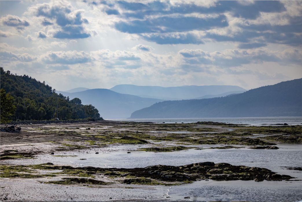milieu humide charlevoix