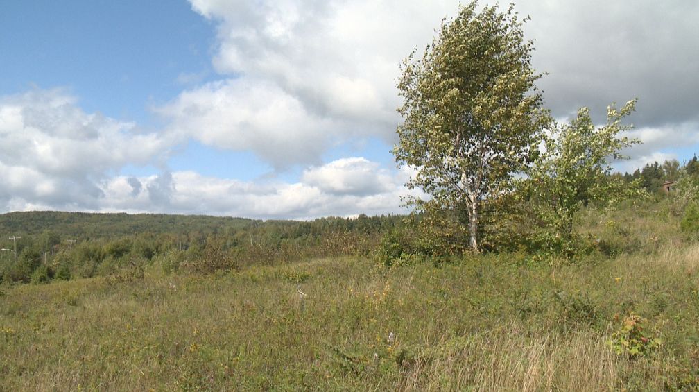 PetiteRivièreSaintFrançois un moratoire pour entamer une réflexion