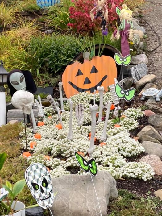 Une Résidence De Rivière-Du-Loup Est Victime De Vandalisme Sur Ses  Décorations D'halloween - Tva Cimt Chau