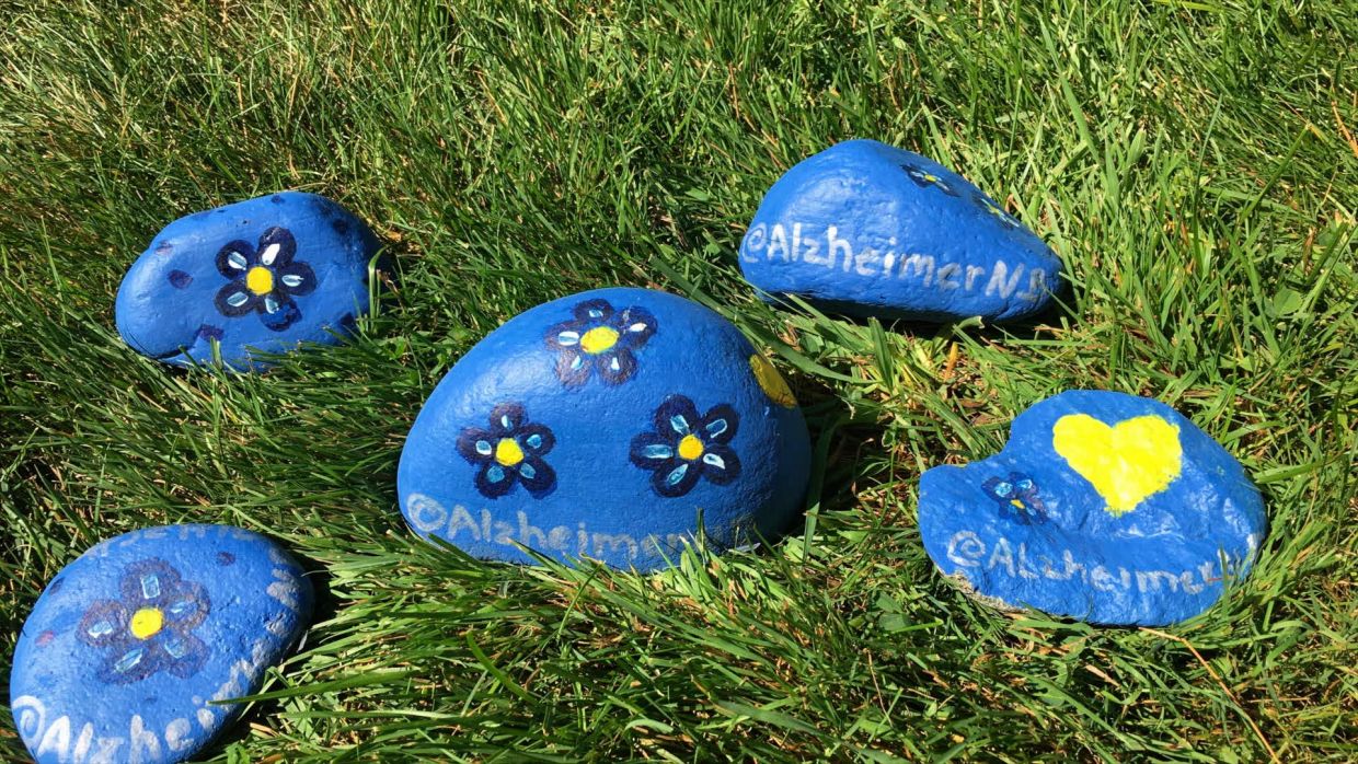 Défi roches myosotis