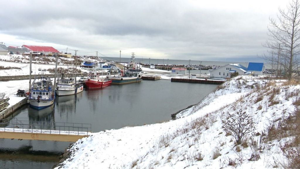 quai stethérèsedegaspé TVA CIMT CHAU