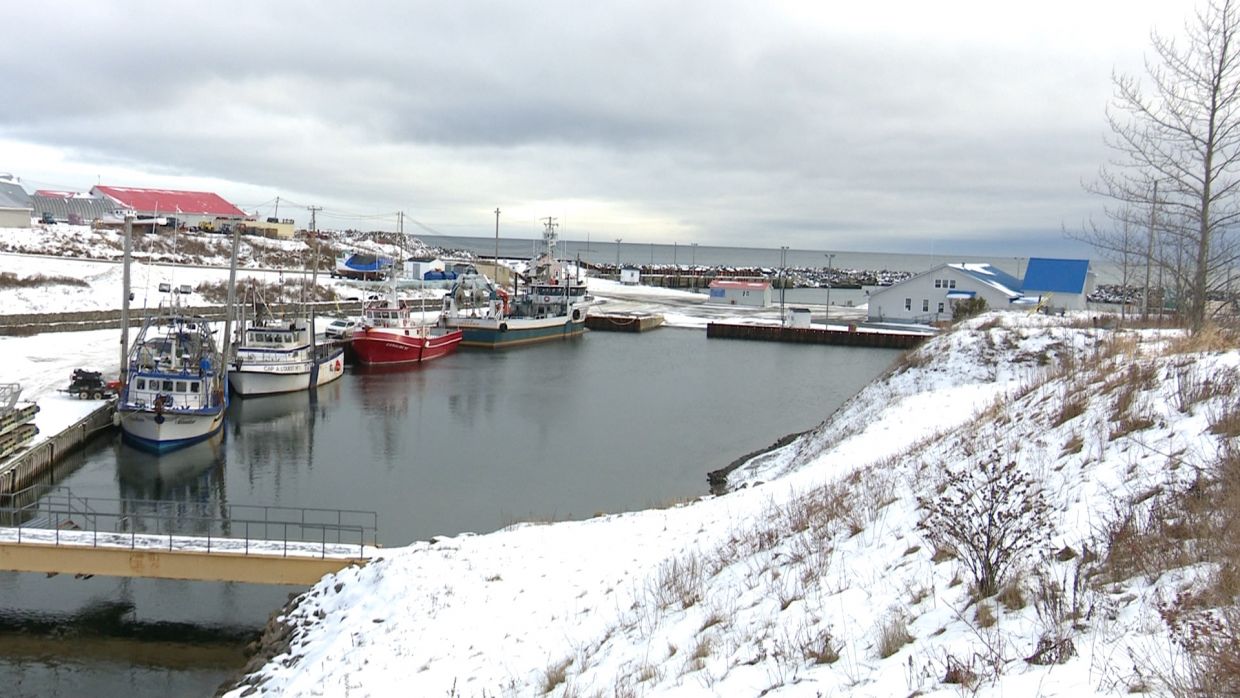 quai stethérèsedegaspé TVA CIMT CHAU