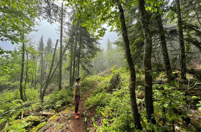 Mont Grand-Fonds, Charlevoix